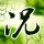 定制新版莱克萨姆特州立学院文凭【degxx.com】